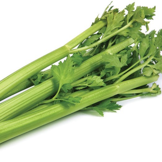 000119  CELERY TABLE FRESH