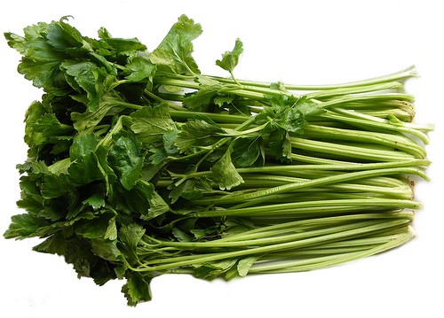 000120  CELERY JAPANESE (MITSUBA), FRESH