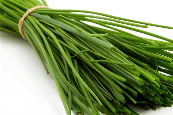 000122  CHIVES STEM FRESH