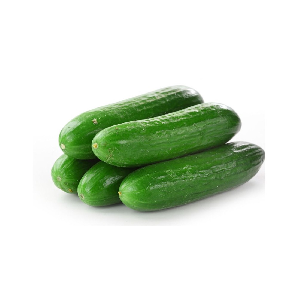 000124  CUCUMBER FRESH