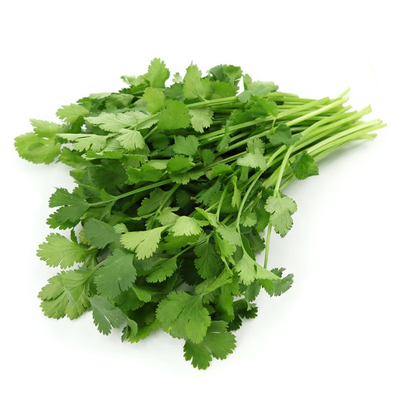 000125  CORIANDER FRESH