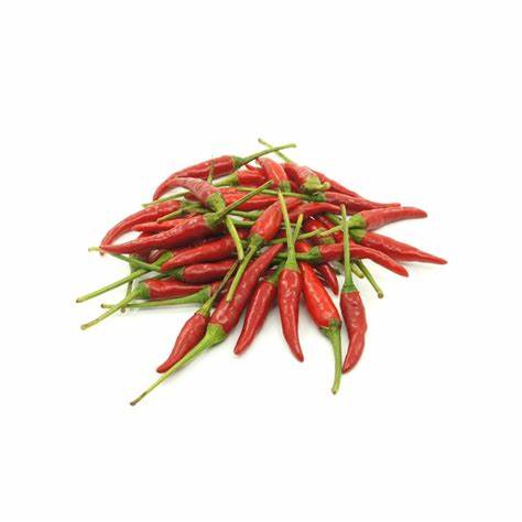 000127  CHILLI PADI FRESH