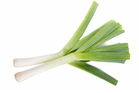 000133  GREEN LEEK FRESH