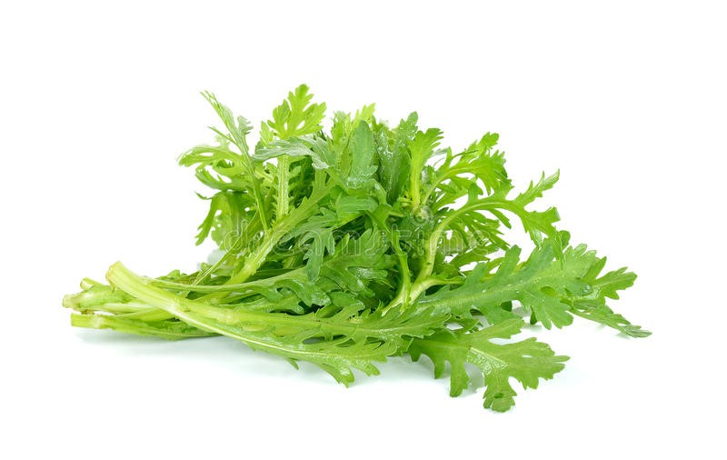 000134  GARLAND CHRYSANTHEMUM FRESH