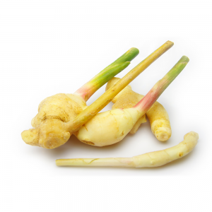 000137  GINGER YOUNG (HAJIKAMI) FRESH