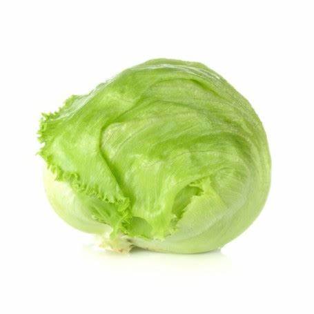 000141  LETTUCE ICEBERG FRESH