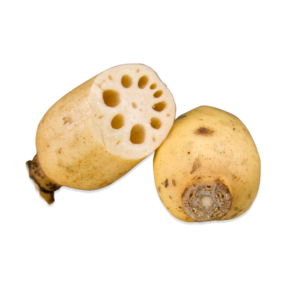 000145  LOTUS ROOT FRESH