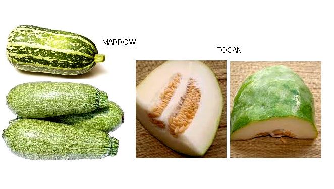 000147  MARROW JAPANESE TOGAN FRESH