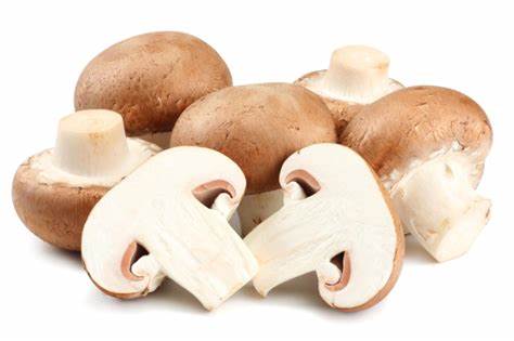 000149  MUSHROOM FRESH