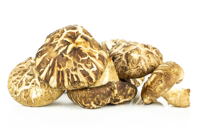 000152  MUSHROOM FRESH DARK (SHIITAKE)