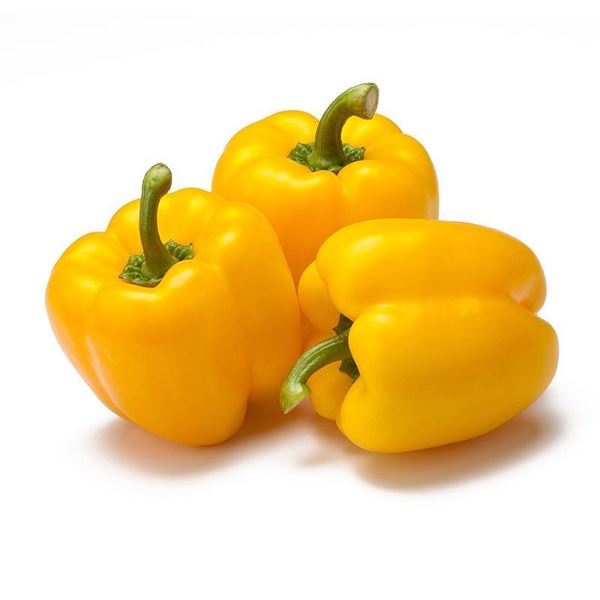 000160  PEPPER BELL YELLOW FRESH