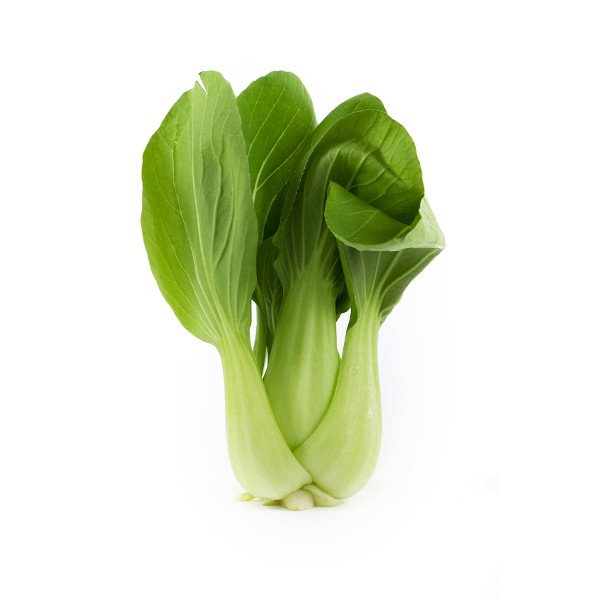 000161  PAC CHOI FRESH