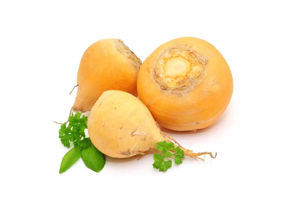000191  TURNIP YELLOW FRESH