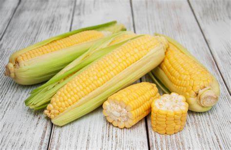 000192  CORN ON COB FRESH