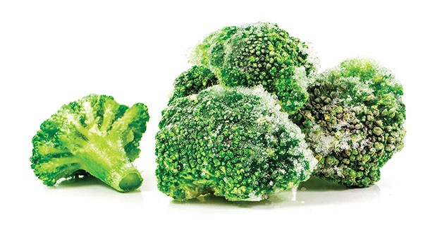 000315  BROCCOLI FROZEN
