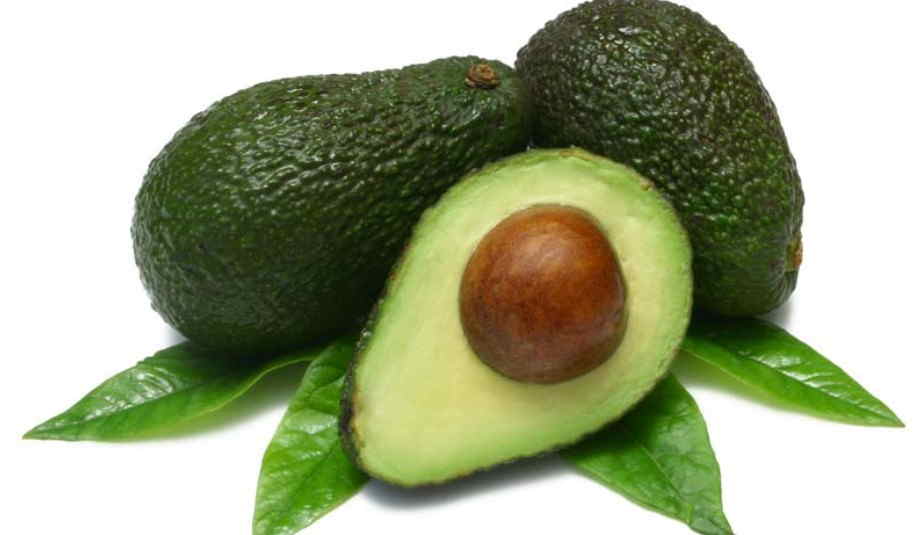 000517  AVOCADO FRESH