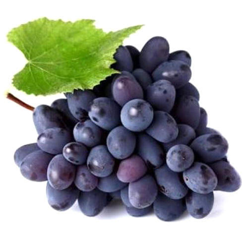 000526  GRAPE BLACK FRESH