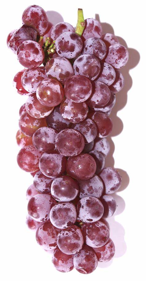 000527  GRAPE DELAWARE FRESH