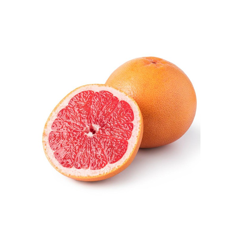 000533  GRAPEFRUIT FRESH