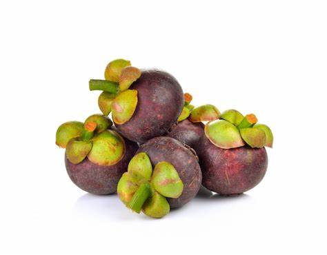 000543 MANGOSTEEN FRESH