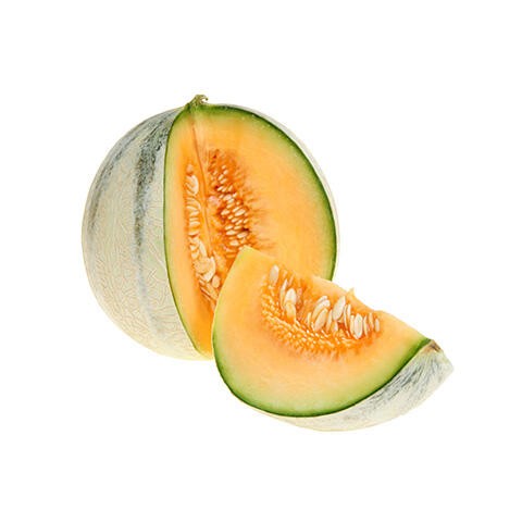 000544  MELON SWEET CANTALOUPE FRESH