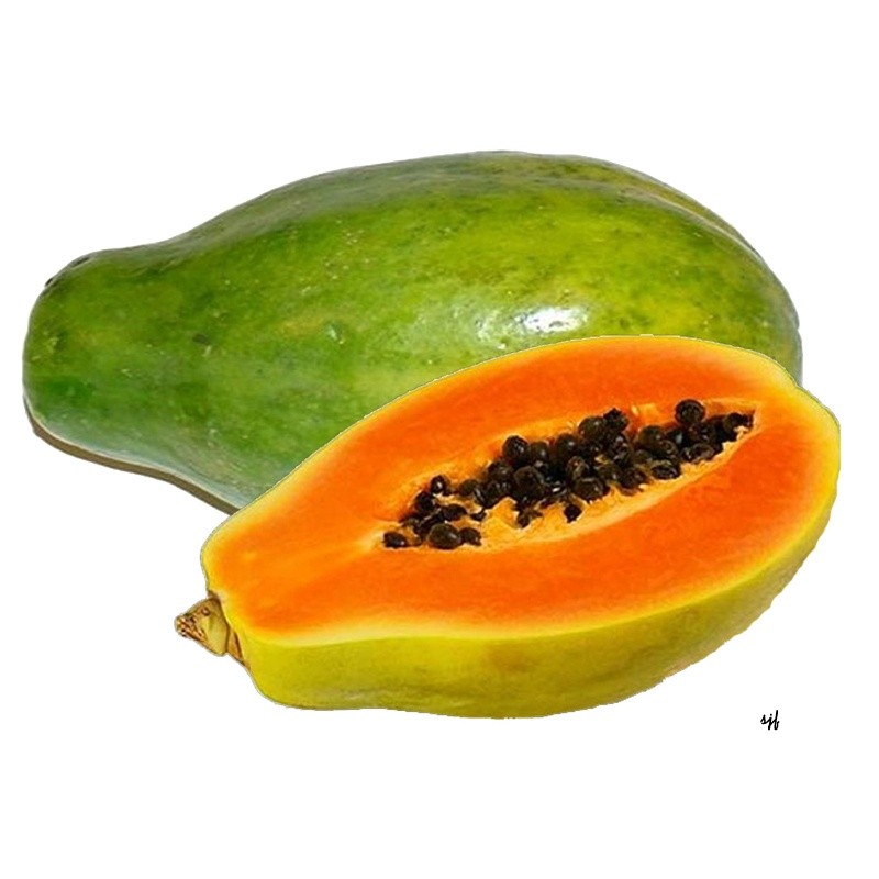 000558  PAPAYA FRESH