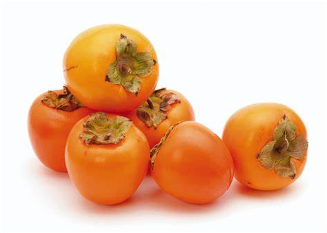 000562  PERSIMMON FRESH