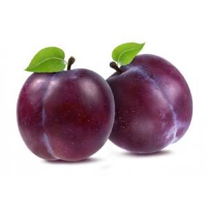 000564  PLUM FRESH