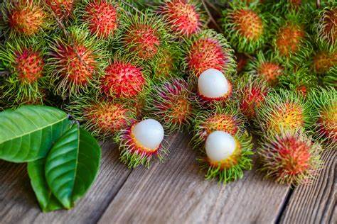 000566  RAMBUTAN FRESH