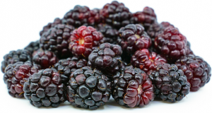 000585  BOYSENBERRY FROZEN