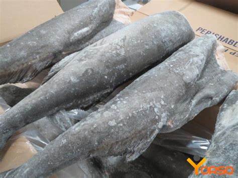 000707  CODFISH HEADLESS FROZEN
