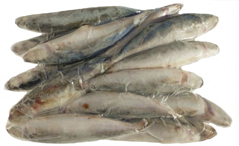000710  EEL WHOLE FROZEN