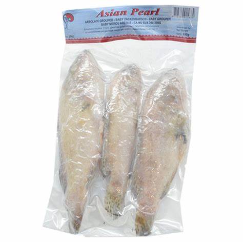 000712  GROUPER/LAPU LAPU FROZEN