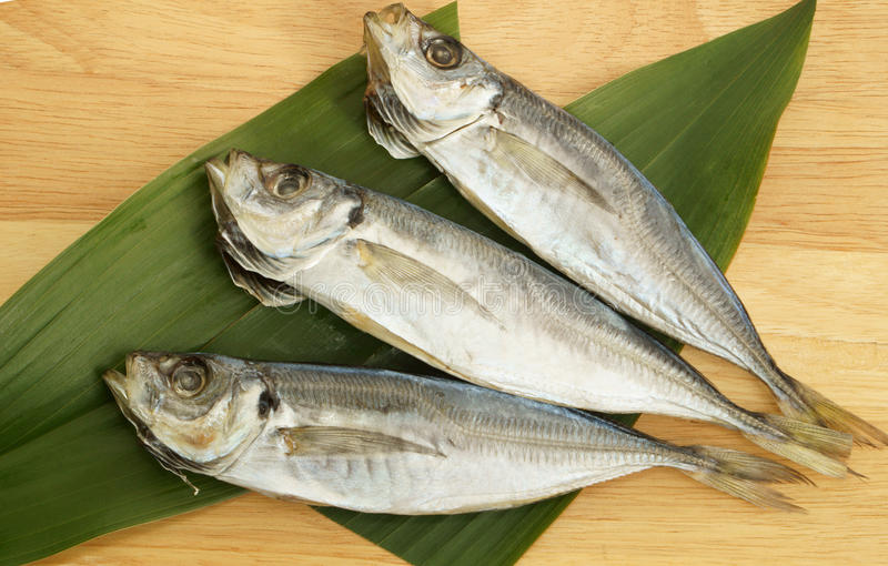 000928  MACKEREL DRIED